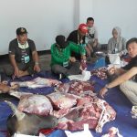 Suasana Pemotongan Hewan Kurban Disdik Kota BKL