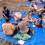 Berbagi Berkah di Bulan Idul Adha, Disdik Salurkan Daging Kurban Sebanyak 3 Ekor Sapi